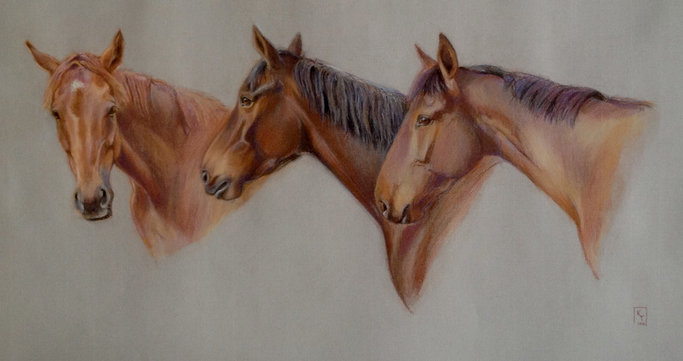 Horse portrait pastel