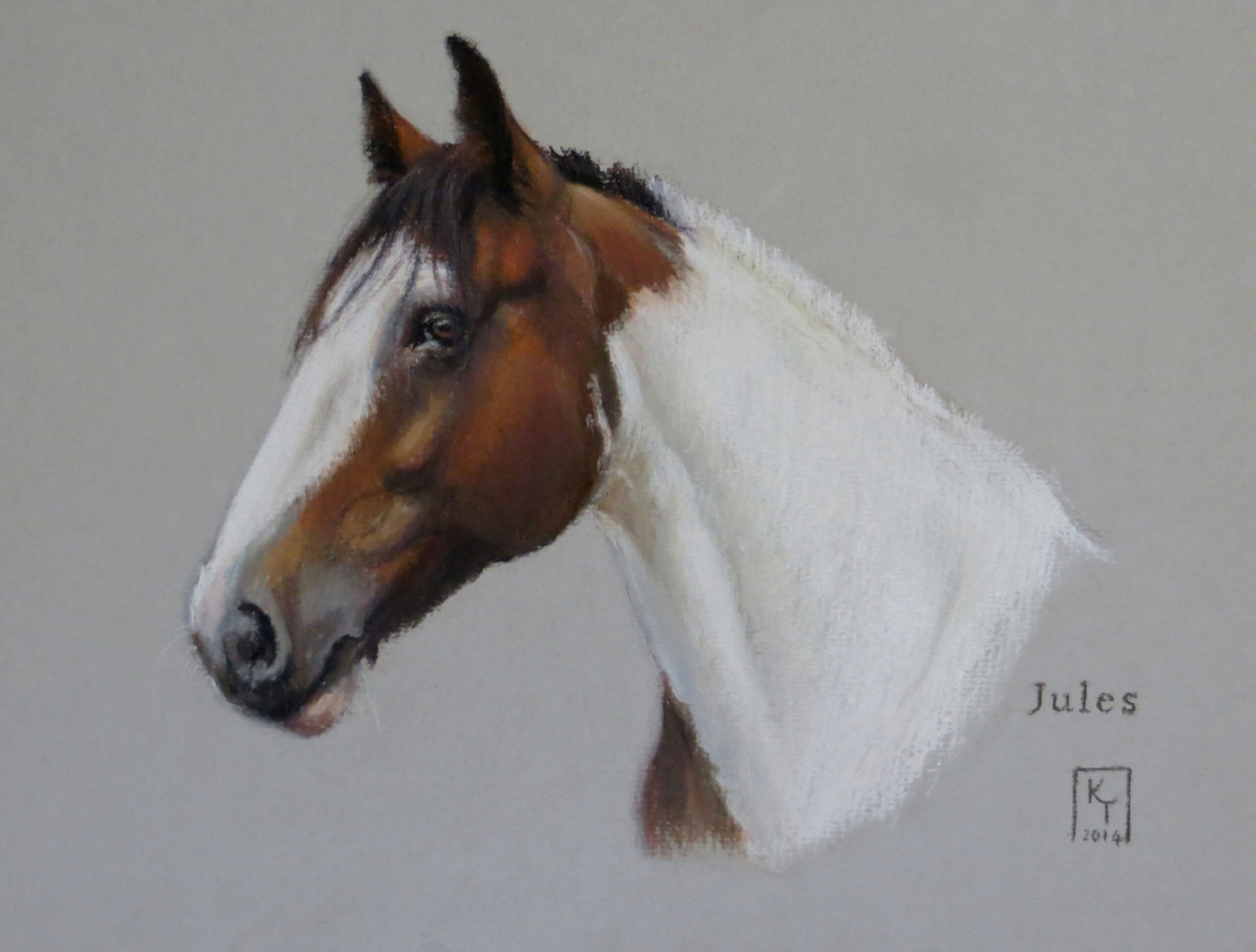 Pastel Portrait of a Skewbald Horse
