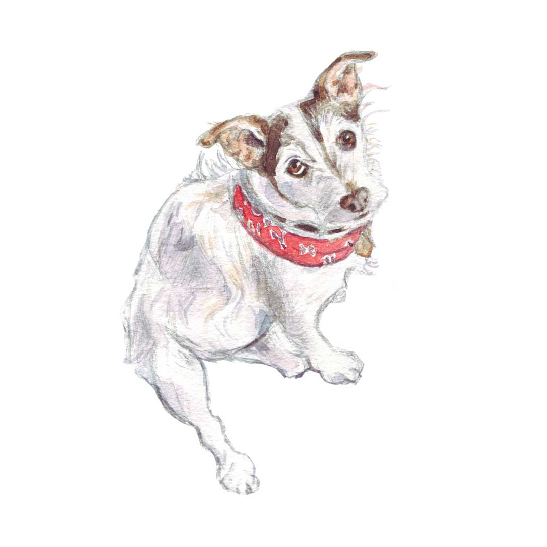 Jack russell painting