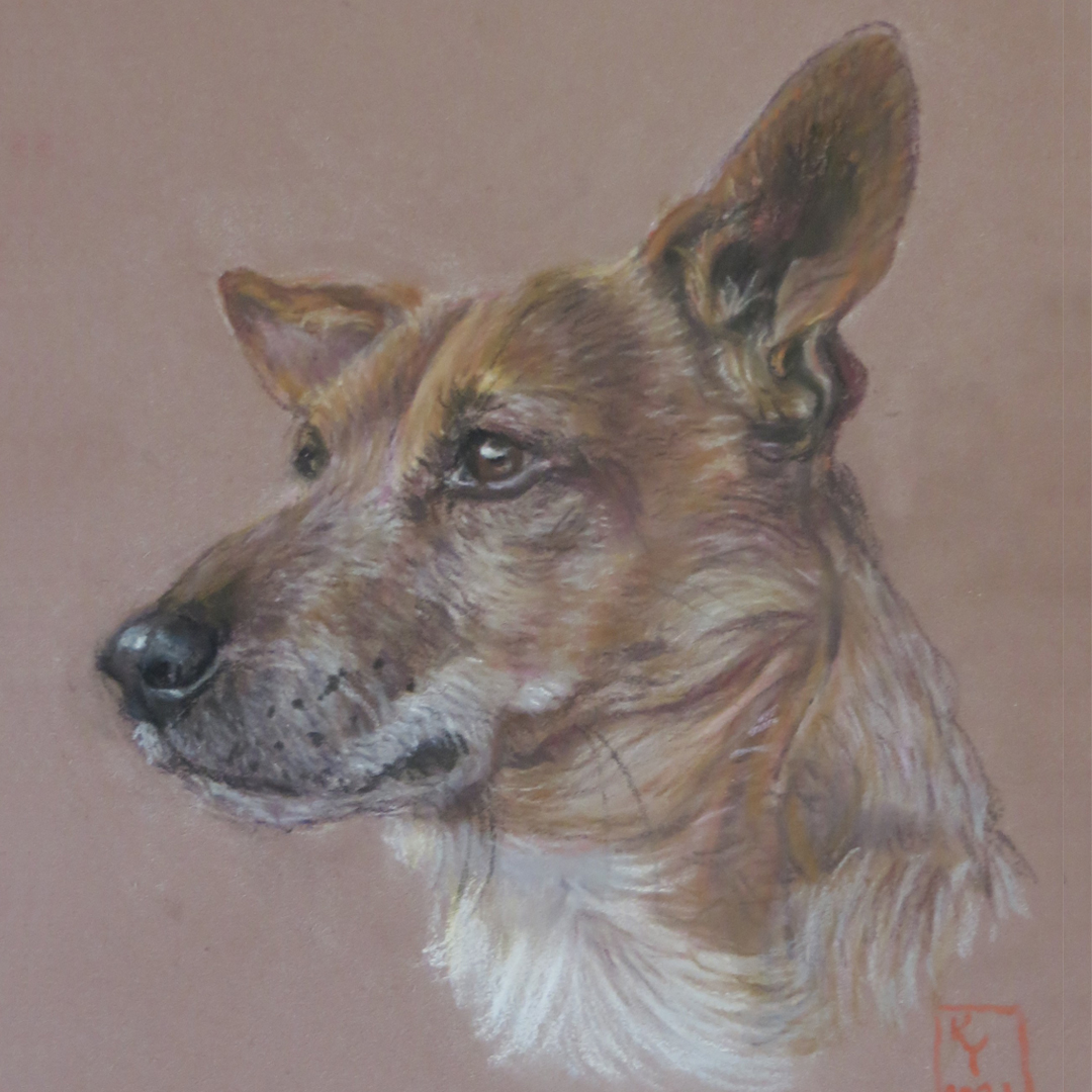 terrier dachshund pastel portrait