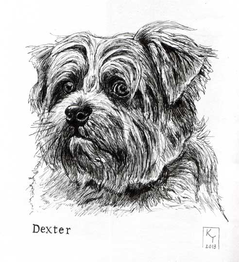 Terrier Pen Drawing
