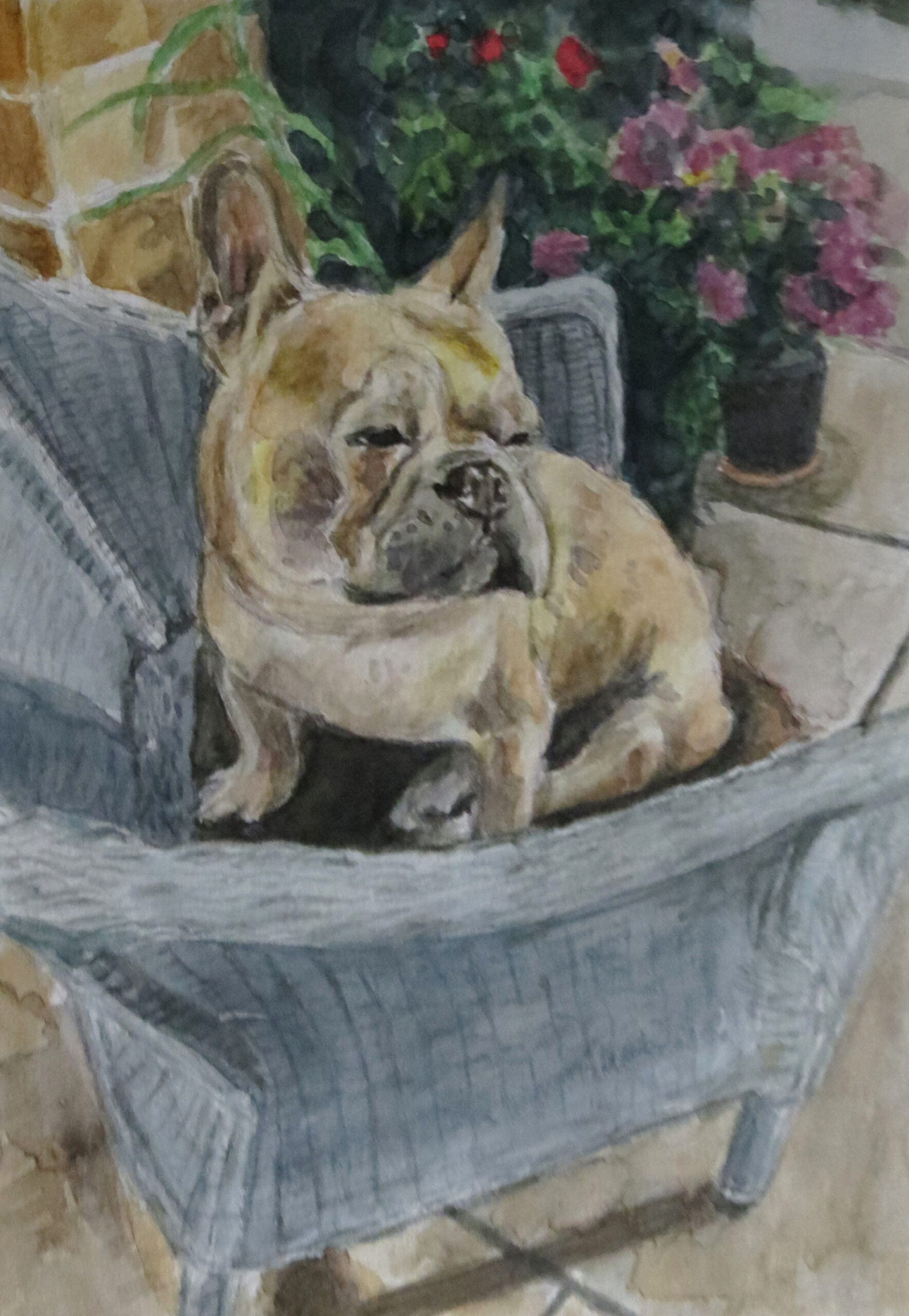 French Bulldog watercolour painting